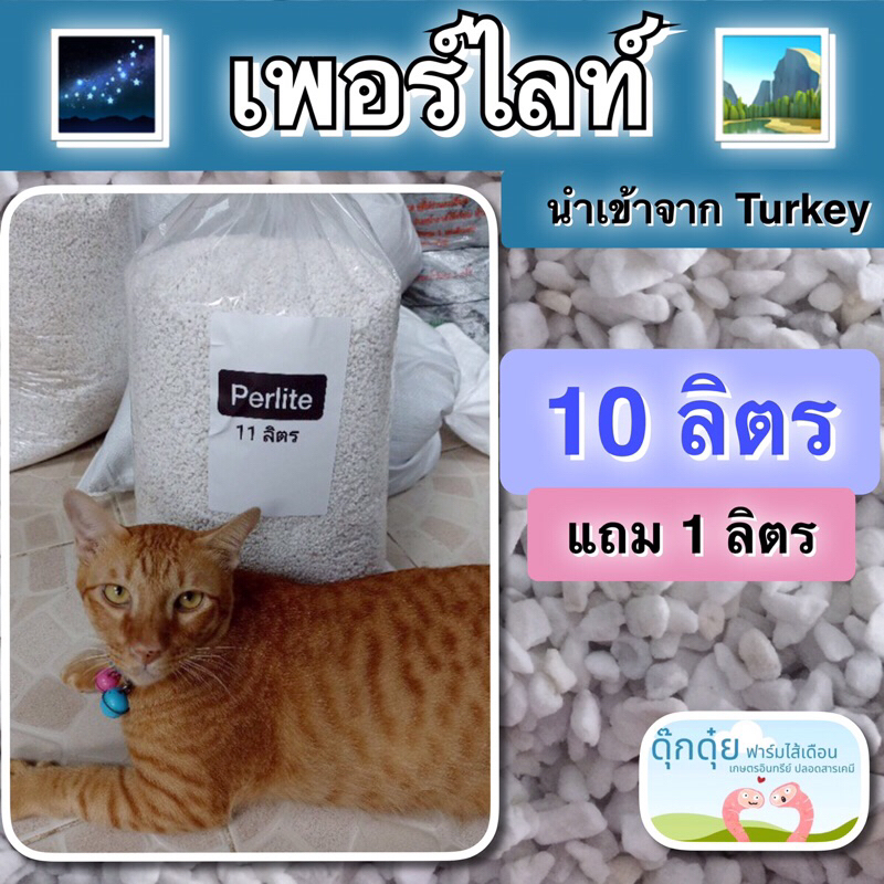 เพอร์ไลท์นำเข้าจากตุรกี 10 ลิตร แถม 1 ลิตร