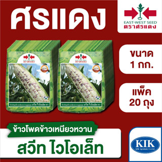 ขายส่ง เมล็ดพันธุ์ ศรแดง BIG ข้าวโพดข้าวเหนียว สวีทไวโอเล็ท ขนาด 1 กิโลกรัม ( 1 กิโลกรัม x 20 ถุง)