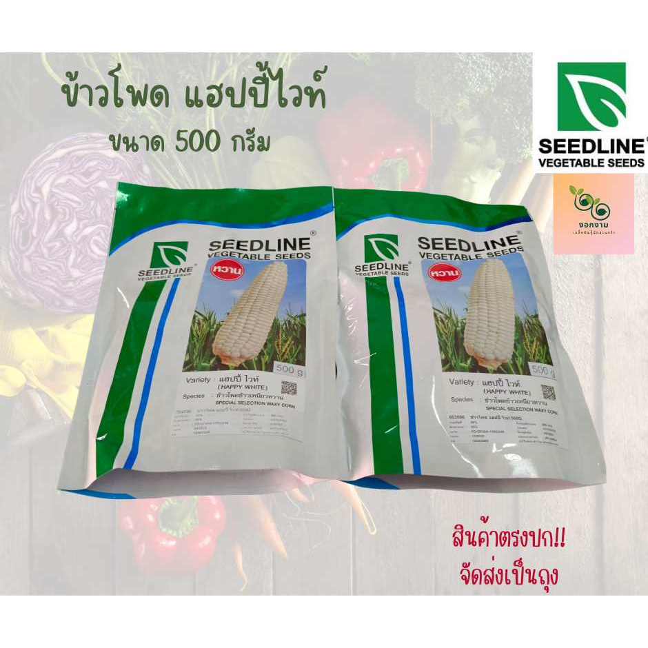 เมล็ดข้าวโพดข้าวเหนียว แฮปปี้ไวท์ seedline 500 กรัม ขายปลีก-ส่ง ราคาถูก คุรภาพดี
