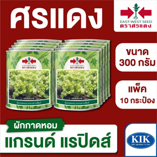 ขายส่ง เมล็ดพันธุ์ ศรแดง BIG ผักกาดหอม แกรนด์แรปิดส์ ขนาด 300 กรัม (300 กรัม X 10 กระป๋อง)