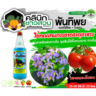 🥬 พันทิพย์ (แมกนีเซียม+โบรอน) บรรจุ 725ซีซี เสริมสร้างให้รากและลำต้นเจริญเติบโตได้เร็วทันใจ