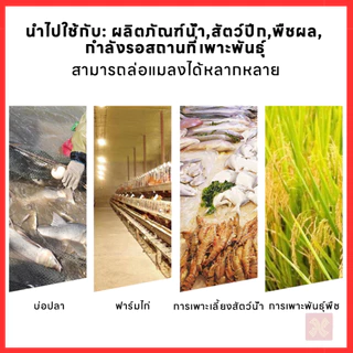 หลอดไฟดักแมลง ล่อแมลง แบล็คไลท์ หลอดไฟล่อแมลง ไฟแสงสีม่วง Black Light 30W