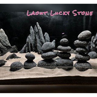 Lucky Stone ตกแต่งตู้ปลา ตู้ไม้น้ำ จัดสวน