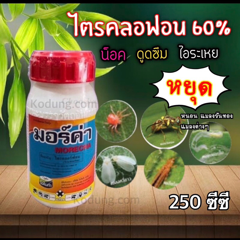 มอร์ค่า สารกำจัดแมลงวันทอง #ไตรคลอร์ฟอน 60% #โบวิกซ์(250 ซีซี)