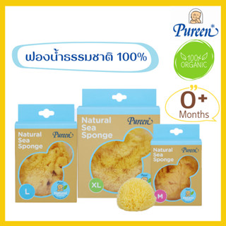 Pureen - ฟองน้ำธรรมชาติ จากทะเลเมดิเตอร์เรเนี่ยน(มีให้เลือก 3 ขนาด)