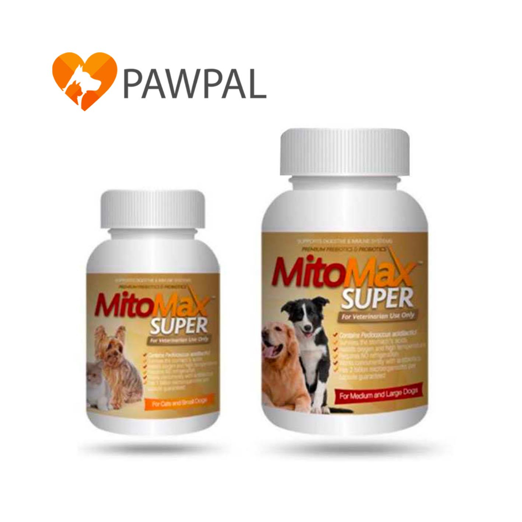 Mitomax Super Small Medium 🔥Exp.2027 Probiotic Prebiotic โปรไบโอติก อาหารเสริม ช่วยย่อย สุนัข แมว (1 กระปุก 30 แคปซูล)