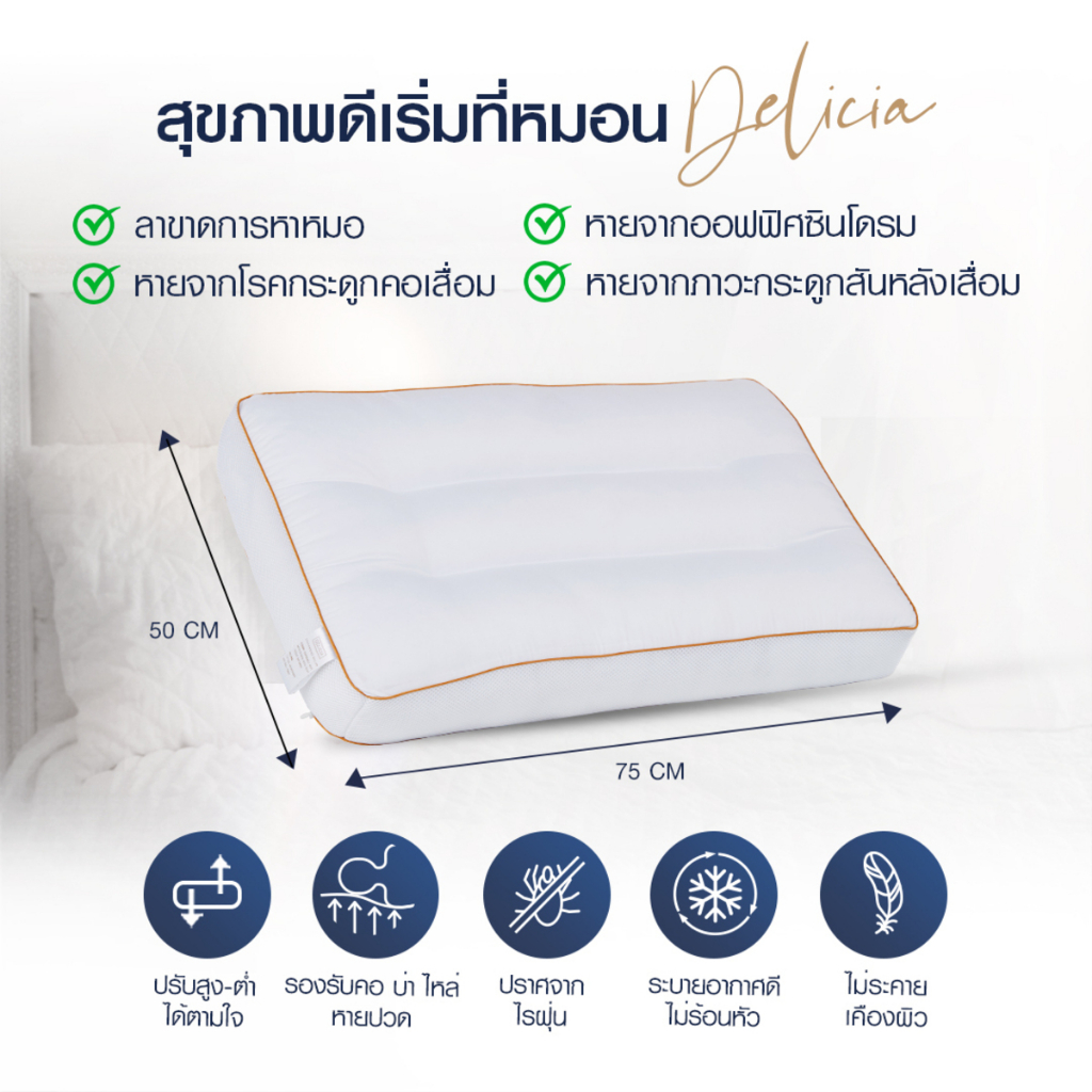 Delicia เดลิเซีย (1ฟรี2) หมอนสุขภาพ 1 ใบ ฟรี ใยเสริมเติมหมอน 2 ชิ้น