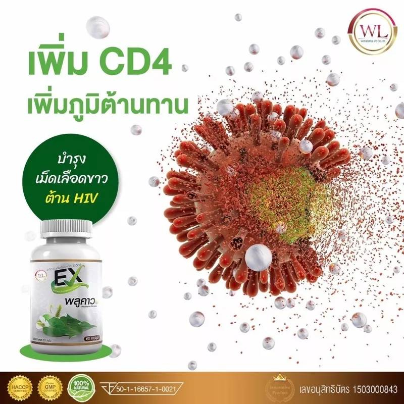 [เข้าร่วมโค้ด] AWL EXพลูคาว เสริมภูมิคุ้มกัน ต้านอนุมูลอิสระ ภูมิแพ้ ไอ เจ็บคอ ต้านเชื้อไวรัส ไอหนัก