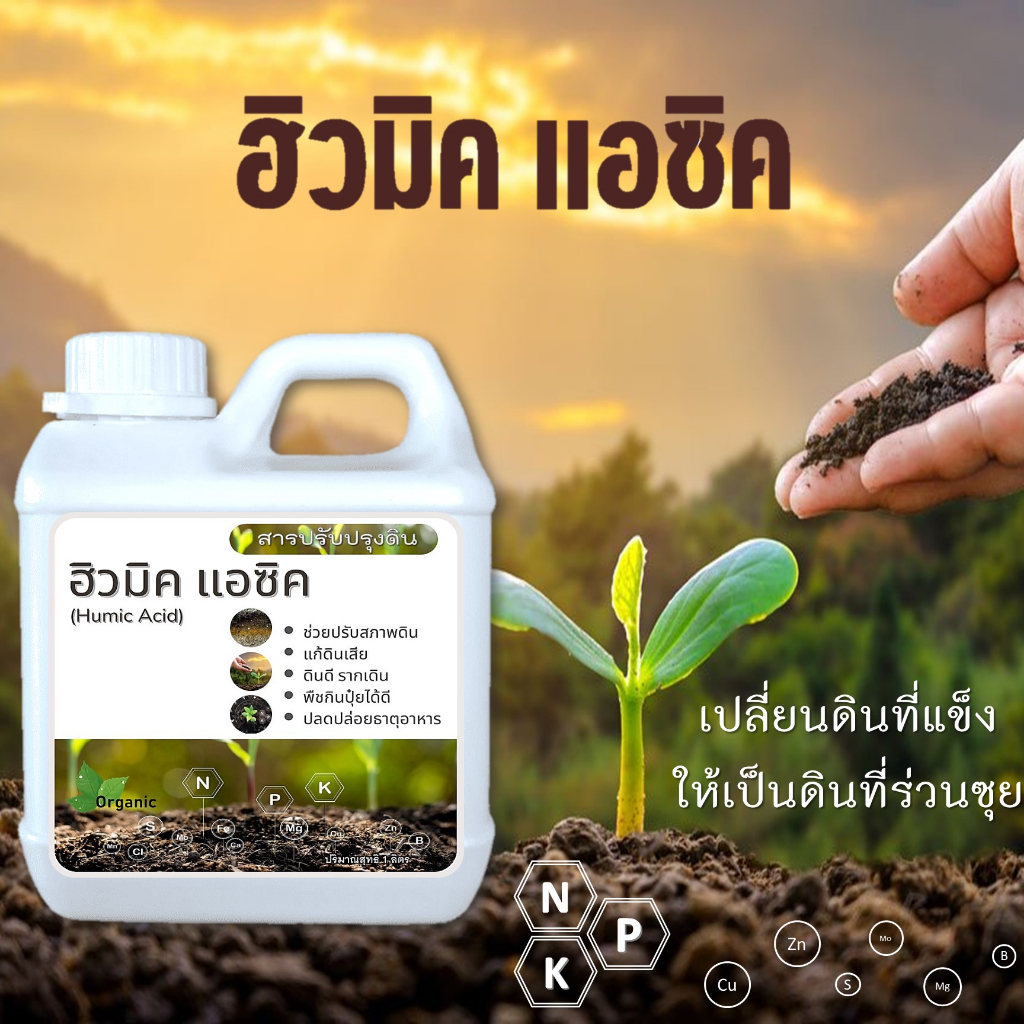 ฮิวมิค แอซิค(Humic Acid)ตัวช่วยบำรุงดิ นปลดปล่อยธาตุอาหาร ทำให้ดินร่วนซุย ระบายน้ำได้ดี รากแผร่ขยาย