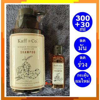 แชมพูขิง Kaff&amp;co แชมพู แก้ผมร่วง ปิดผมขาว สำหรับผมมัน หนังศรีษะมันมาก ขนาด 300+30 มล. Shampoo (Oily Scalp) 300ml.+ 30ml.