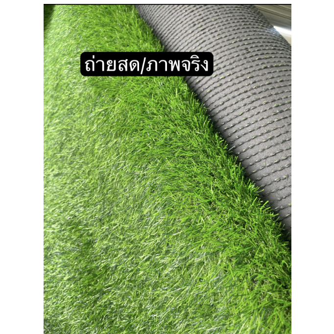 หญ้าเทียม3cm หญ้าเทียมราคาถูก หญ้าเทียมปูพื้น  เนื้อแน่น ขนฟู ไม่หลุดไม่ร่วง เหมือนหญ้าจริงมาก - รูปที่ 6