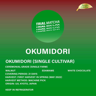 TRIAL MATCHA | ผงมัทฉะอุจิสายพันธุ์เดี่ยว Okumidori Single cultivar