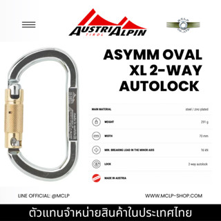 AustriAlpin ASYMM OVAL XL Carabiner 2-way Autolock with Brass Sleeve