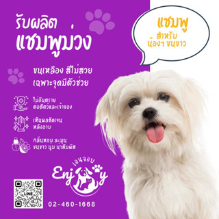 รับผลิตแชมพูม่วงสำหรับน้องๆขนขาว
