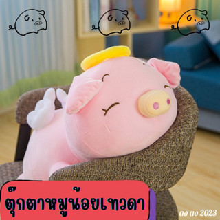 ตุ๊กตาหมูน้อยเทวดา 💟🐽 ผ้านิ่มสุด ๆ ตัวนุ่มนิ่ม