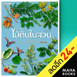 รวมพันธุ์ไม้ต้นในสวน | บ้านและสวน อุรไร จิรมงคลรัช