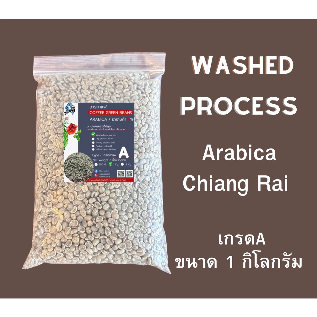 เมล็ดกาแฟสาร Washed process อาราบิก้า %เกรดดีA ขนาด 1kg จากดอยก้าจออาข่า ห้วยแม่เลี่ยม ห้วยชมภูเชียงราย ใหม่
