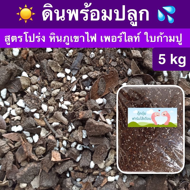 ดินพร้อมปลูก ไม้ใบ ไม้มงคล ไม้ฟอกอากาศ เฟิร์น รองเท้านารี 5 kg
