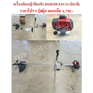 เครื่องตัดหญ้าข้อแข็ง DSH250 EFCO (อิตาลี)