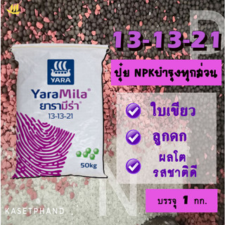 13-13-21 ยารามีร่า บรรจุ 1 Kg. ปุ๋ย NPK บำรุงทุกส่วน ใบเขียว ลูกดก เน้นผลโต รสชาติดี ระยะเริ่มให้ผลผลิต