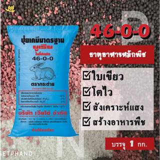 ปุ๋ย​ 46-0-0 ตรากระต่าย(เม็ดโฟม) บรรจุ 1​ Kg. อาหารหลักพืช เร่งโต​ ใบเขียว ช่วยสร้างอาหาร สร้างพลังงานพืช