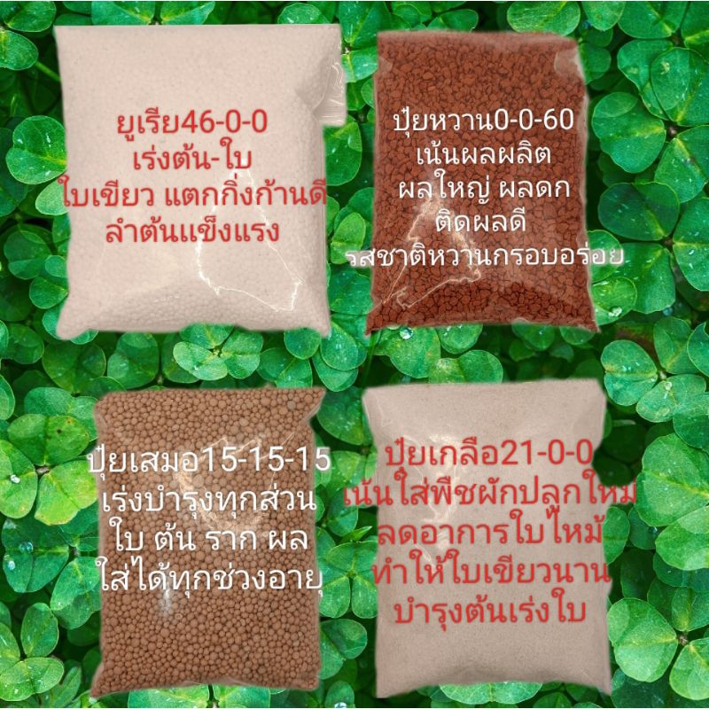 ปุ๋ยบำรุงผัก(ขนาด500g)  ปุ๋ยบำรุงต้นไม้ ปุ๋ย15-15-15 ปุ๋ยยูเรีย46-0-0 ปุ๋ยหวาน0-0-60 ปุ๋ยเกลือ21-0-0