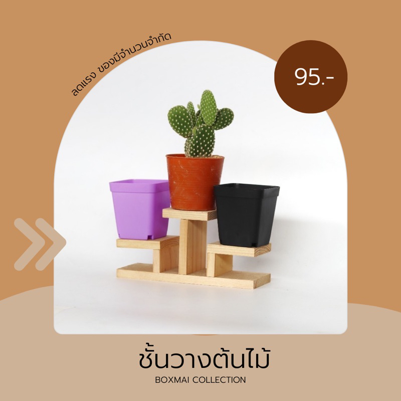 ‼️ถูก ส่งเร็วทันใจ‼️ ชั้นวางต้นไม้ขยาดเล็ก หรือโมเดลขนาดเล็ก ชั้นไม้ลีลา
