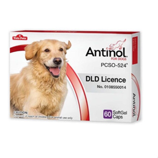 พร้อมส่ง Antinol DOG 60 แคปซูล ช่วยบำรุงข้อ กระดูก ขน ผิวหนัง และไต 1 กล่อง 60 แคปซูล