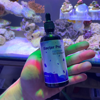 MARINE PLUS BACTER PRO 10 ml.(แบ่งจากขวดใหญ่) เพิ่มแบคทีเรีย/ลด No2