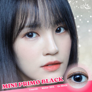 คอนเเทคเลนส์ Kittykawaii mini primo black (สีดำ) dia 14.2