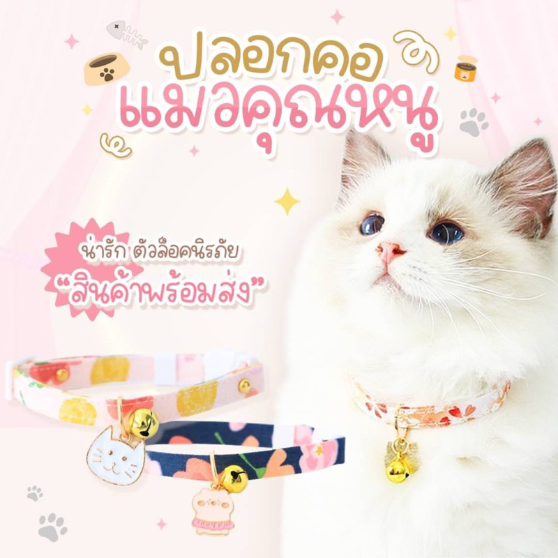 พร้อมส่ง ปลอกคอนิรภัย#ปลอกคอน้องแมวน่ารัก#ปลอกคอแมวน่ารัก#ปลอกคอแมว#ปลอกคอนิรภัย#ปลอกคอแมวคุณหนู