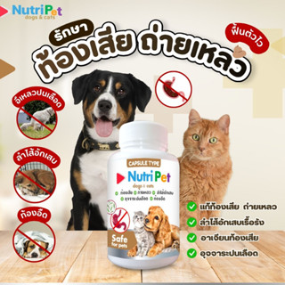 ⚡พร้อมส่ง⚡nutri pets วิตามินท้องเสียสำหรับสุนัขและแมว ถ่ายเหลว ลำไส้-อักเสบ✅ตัวนี้ดีมาก