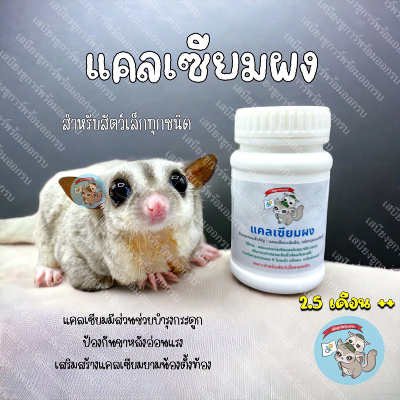( แคลเซียม ) CALCIUM แคลเซียมผง สัตว์เล็ก สัตว์เลี้ยง สัตว์ฟันแทะ ชูการ์ กระรอก ดอร์เมาส์ แฮมสเตอร์ เม่นแคระ กระรอก