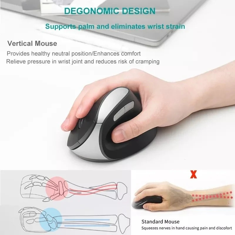 มีโค้ดลด100+ Rapoo เม้าส์ลดปวดมือ เสียงเงียบ ประกันศูนย์2ปี EV200 Silent Ergonomic Optical Mouse