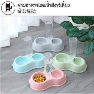 ชามอาหารสัตว์เลี้ยง เติมน้ำอัตโนมัติ ชามอาหารแมว ชามอาหารหมา ชามอาหารและน้ำสัตว์เลี้ยง