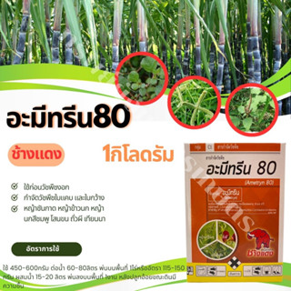 อะมีทรีน80 1กิโลกรัม ช้างแดง ใช้ก่อนวัชพืชงอกในต้นพืช เพื่อกำจัดวัชพืชประเภทใบแคบ-ใบกว้าง