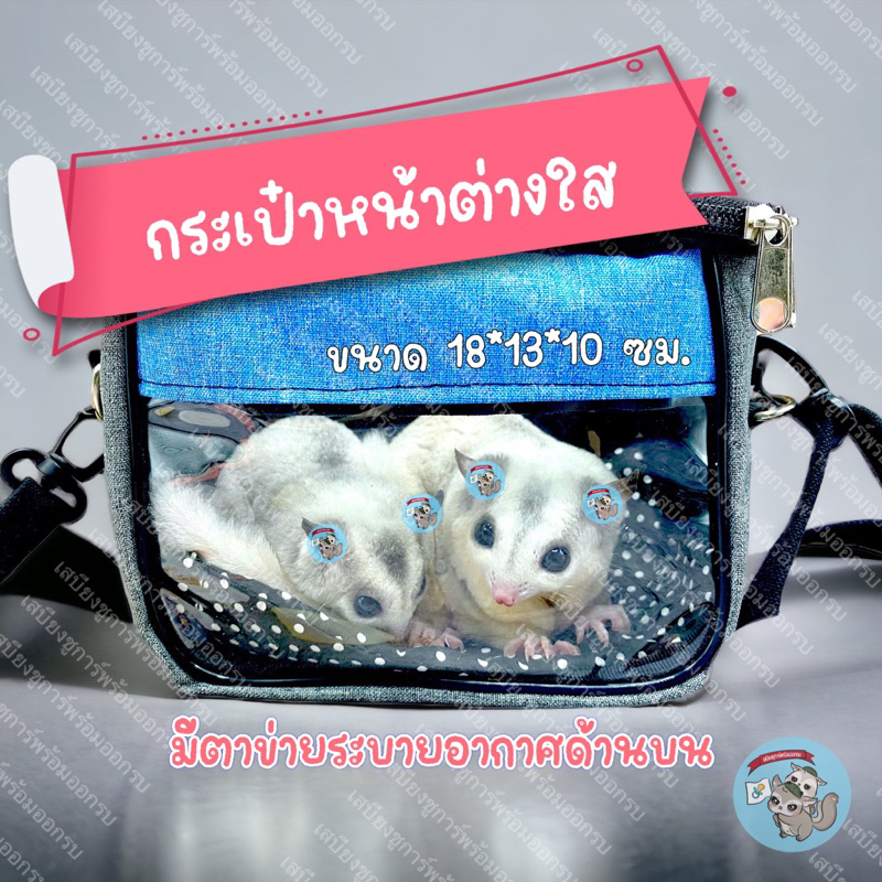 V ( กระเป๋าใสลายจุด ) กระเป๋าตาข่าย กระเป๋าพกพา กระเป๋าสัตว์เล็ก กระเป๋าสัตว์เลี้ยง กระเป๋าชูการ์