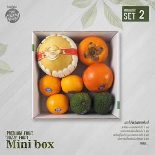 Premium fruit Mini box set 2