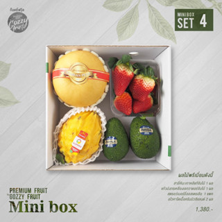 Premium fruit Mini box set 4