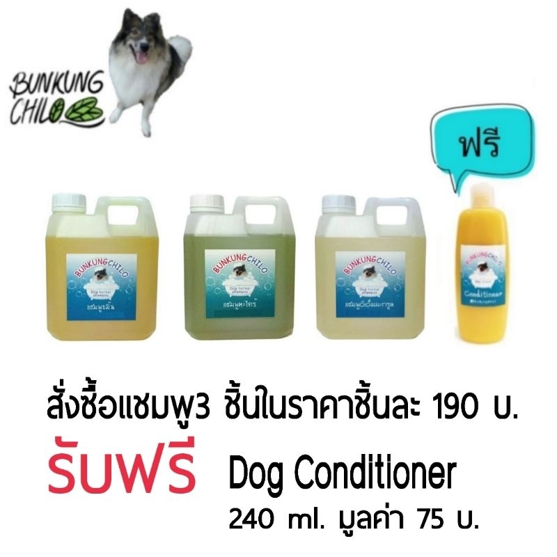 Bunkungchilo แชมพูสุนัข 1000 ml (3 ชิ้นฟรี ครีมนวด)​ สูตรสมุนไพรปลอดภัยสำหรับผิวแพ้ง่าย