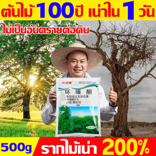 ต้นไม้ 100 ปี เน่าใน 1 วัน ยาฆ่าต้นไม้ 500g ยาฆ่าตอไม้ ยากําจัดต้นไม้ใหญ่ รากไม้เน่า200% ไม่เป็นอันตรายต่อดิน