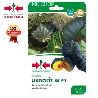 เมล็ดพันธุ์ฟักทอง(มรกตดำ 35 F1)ศรแดง ฟักทองลูกผสม เนื้อแน่นอร่อย ปลูกง่ายโตไว ทนโรค