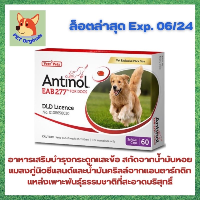 Antinol อาหารเสริมจากสารธรรมชาติ ดูแลกระดูกและข้อสำหรับสุนัข ขนาด 60 เม็ด