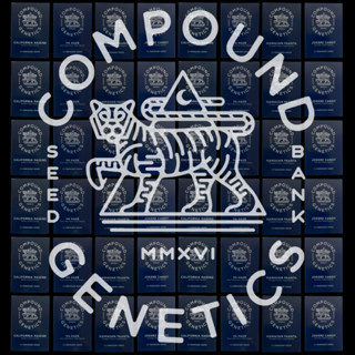 NEW!! Compound Genetics ALL Strains For 2023.