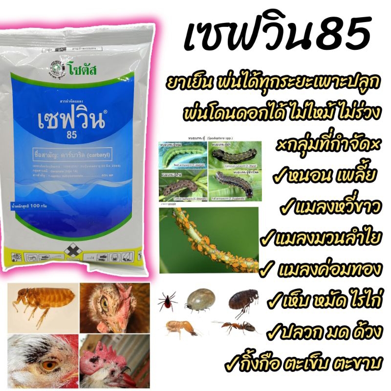 เซฟวิน85 (ขนาด100g) *ยาเย็น* ยากำจัดไรไก่ เห็บหมัด หนอน เพลี้ย มด ปลวก ตละกูลเพลี้ยใช้ได้ในแคคตัส พืชผัก ไม้ดอกไม้ผล