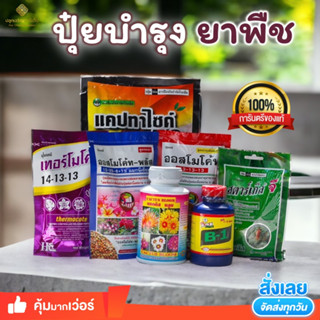 น้ำยาเร่งราก B1 สตาร์เกิ้ลจี ปุ๋ยบำรุงแคคตัส ปุ๋ยแคคตัส ออสโมโค้ท แคคตัสบลูม แคปทาไซด์50 แคปเทน เทอร์โมโค้ท