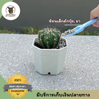 ชุดอุปกรณ์ปลูกต้นไม้ เซต 5 ชิ้น ช้อนตักดิน พรวน ปากคีบ สำหรับแคคตัส สวนจิ๋ว กระถางเล็ก