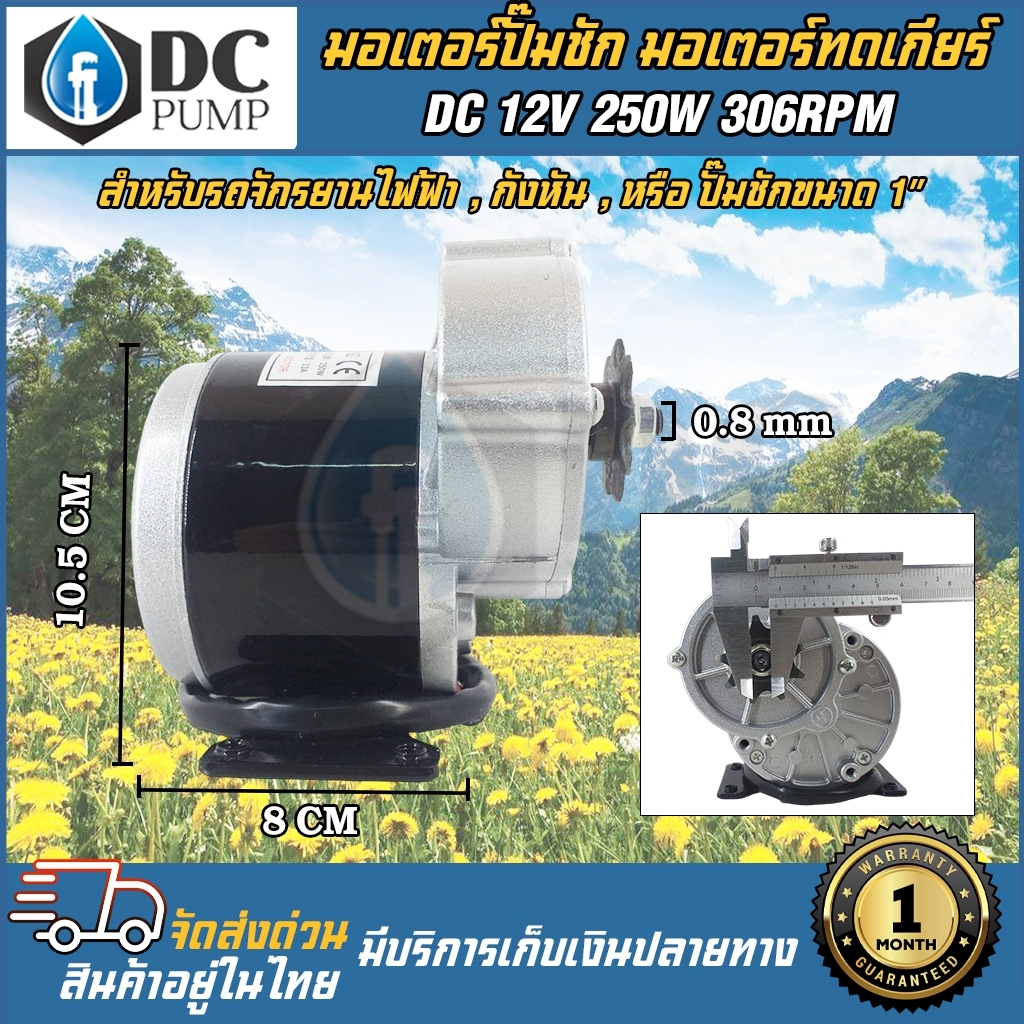 มอเตอร์ทดเกียร์โซล่าเซลล์ มอเตอร์ปั้มชักโซล่าเซล DC12V 250W 306RPM(เฟือง 9 ฟัน)มอเตอรรถไฟฟ้าโซล่าเซล สำหรับปั้มชัก 1นิ้ว