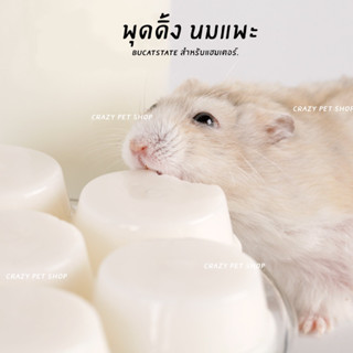 [crazy pet shop] พุดดิ้งนมแพะ Bucatstate สำหรับแฮมเตอร์