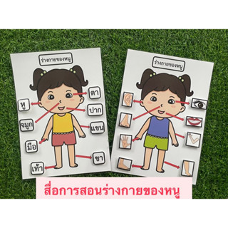 สื่อการสอนร่างกายของหนู เกมการศึกษาปฐมวัย 👦🏻👧🏻l(ขออนุญาตรับออเดอร์ 2 ชิ้น ขึ้นไปค่ะ)